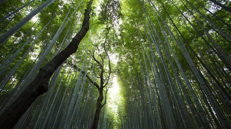 国产免费爽爽视频在线观看国产好剧随心看，畅享精彩免费在线观看体验