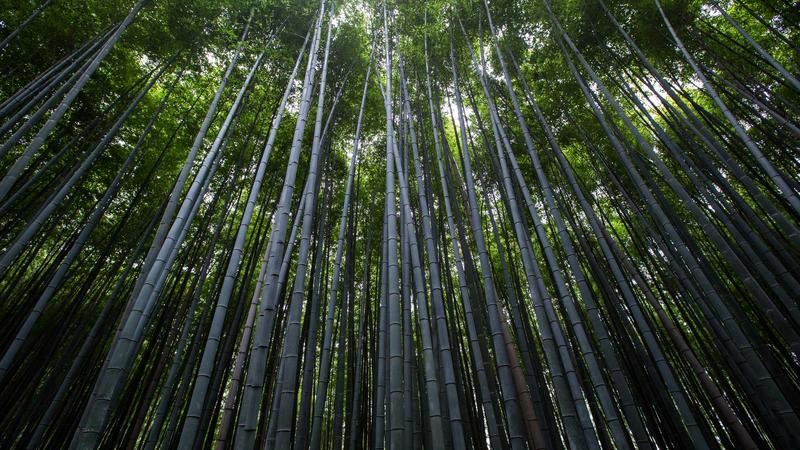 AAA级精品久久久国产片：深度解析国产影视精品的艺术价值与市场影响力