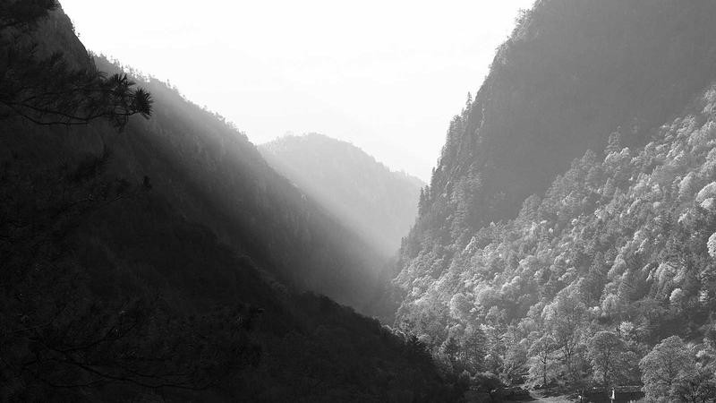 国产TS人妖在线视频网站：探索多元性别文化的数字窗口与真实体验指南